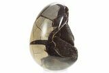 Septarian Dragon Egg Geode - Sparkly Black Crystals #329491-1